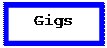 Text Box: Gigs
